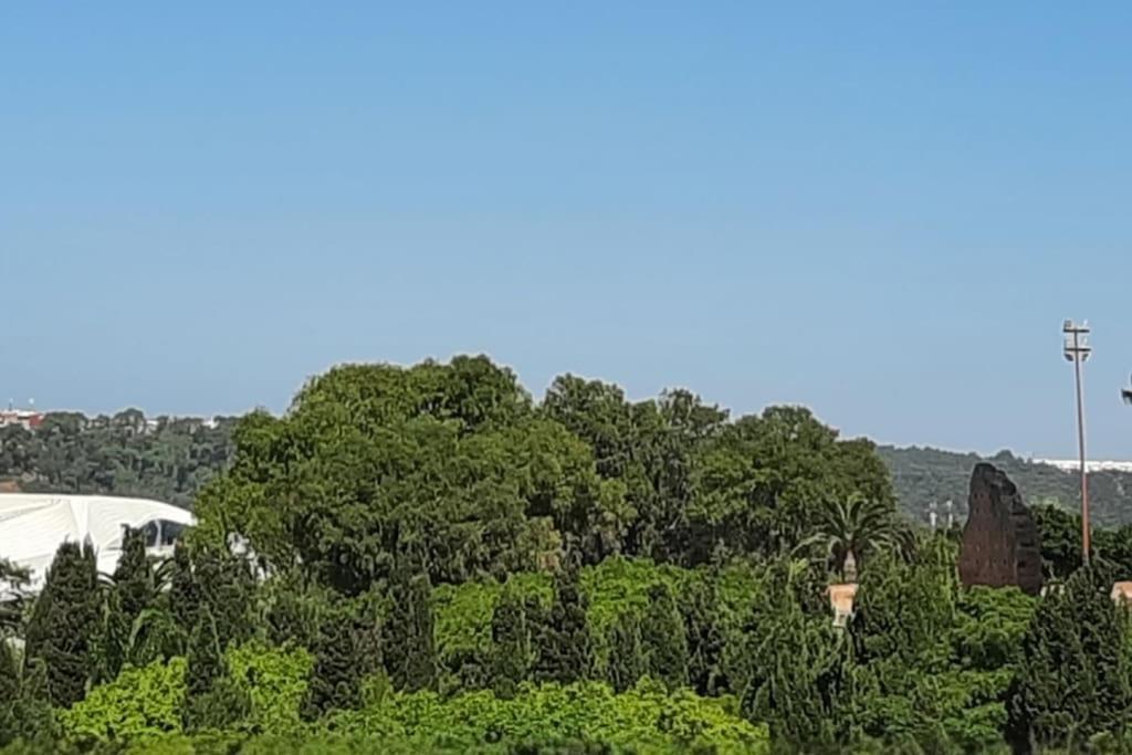 Hassan Tower And The Marina Come To You Rabat Exterior foto